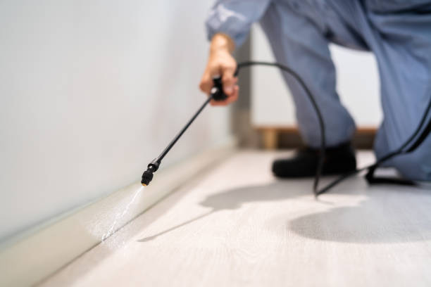 Certified termite inspector examining foundation in Oroville